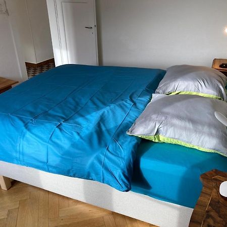 Joli 2 Pieces Dernier Etage, Lausanne Centre エクステリア 写真