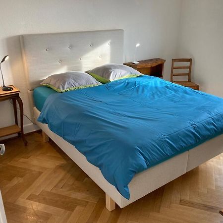 Joli 2 Pieces Dernier Etage, Lausanne Centre エクステリア 写真