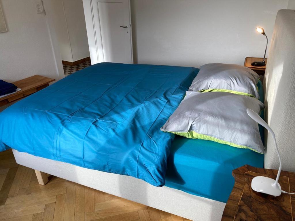 Joli 2 Pieces Dernier Etage, Lausanne Centre エクステリア 写真