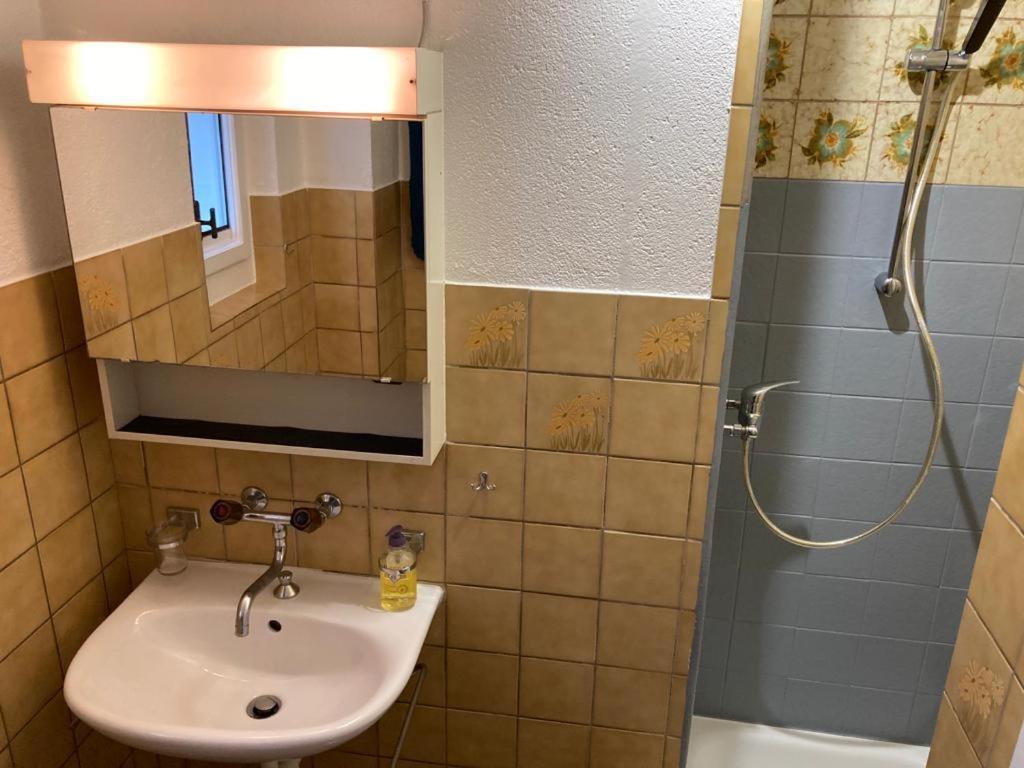 Joli 2 Pieces Dernier Etage, Lausanne Centre エクステリア 写真