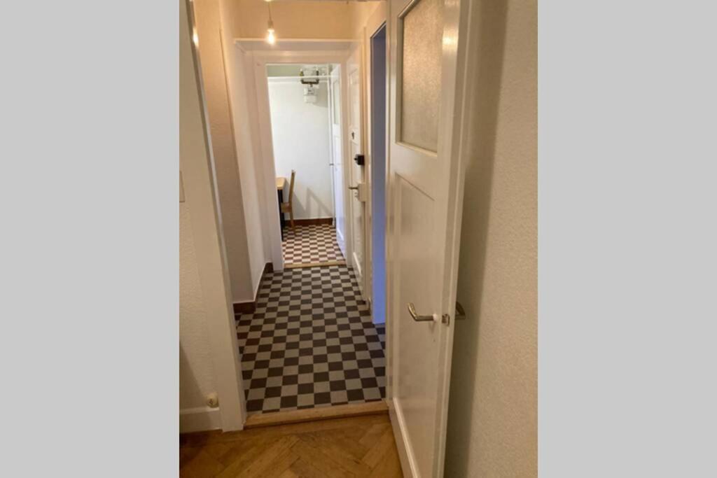 Joli 2 Pieces Dernier Etage, Lausanne Centre エクステリア 写真