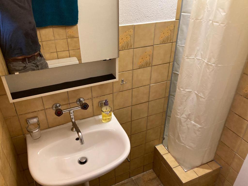 Joli 2 Pieces Dernier Etage, Lausanne Centre エクステリア 写真