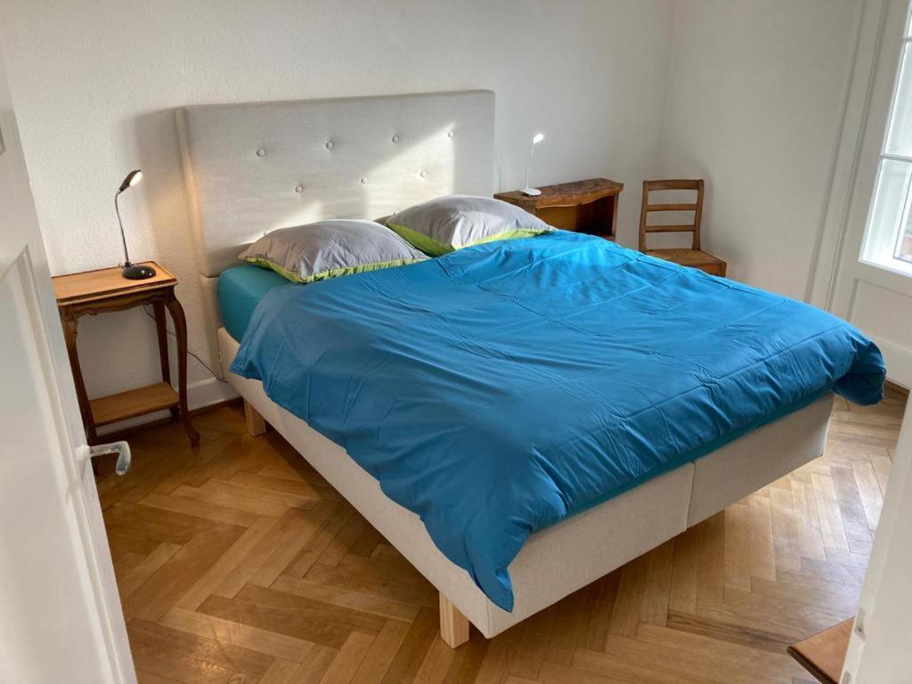 Joli 2 Pieces Dernier Etage, Lausanne Centre エクステリア 写真