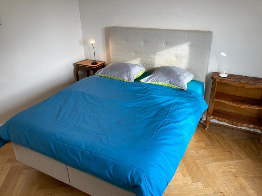 Joli 2 Pieces Dernier Etage, Lausanne Centre エクステリア 写真